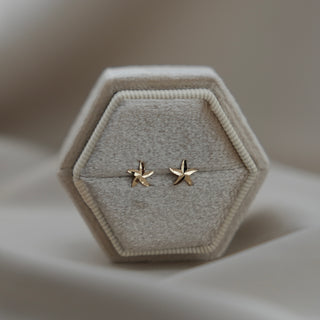 14k Gold Sea Star Earrings