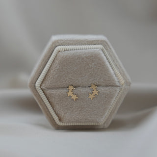 14k Gold Star Earrings