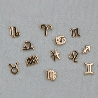 14k Gold Zodiac Sign Earrings