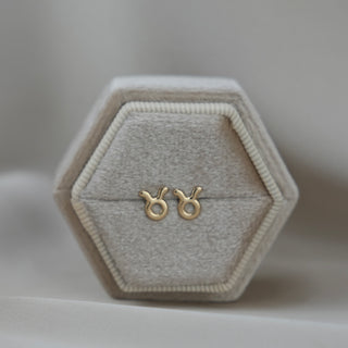 14k Gold Zodiac Sign Earrings