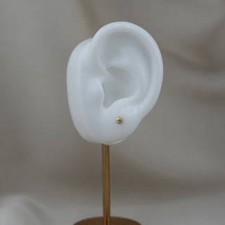 14k Gold Fancy Round Earrings