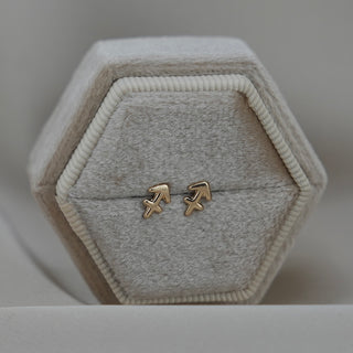 14k Gold Zodiac Sign Earrings