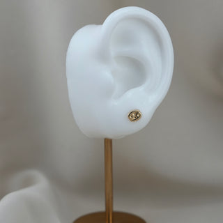14k Gold Zodiac Sign Earrings