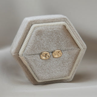 14k Gold Zodiac Sign Earrings
