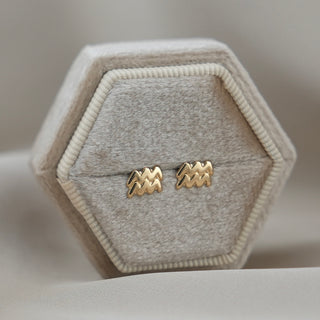 14k Gold Zodiac Sign Earrings