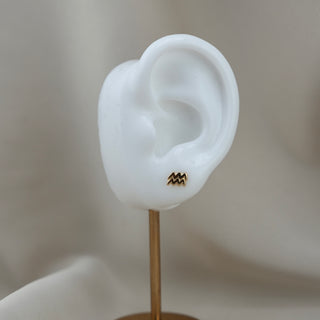 14k Gold Zodiac Sign Earrings