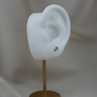 14k Gold Zodiac Sign Earrings