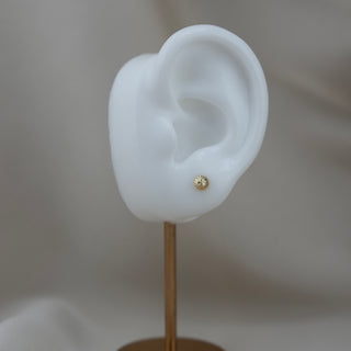 14k Gold Fancy Round Earrings