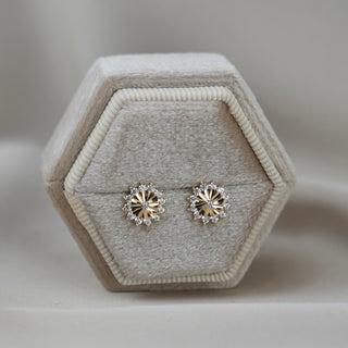 14k Gold Fancy Earrings
